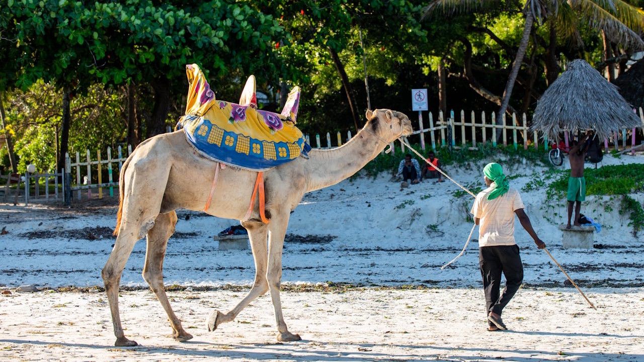 Mombasa, Kenya scenery